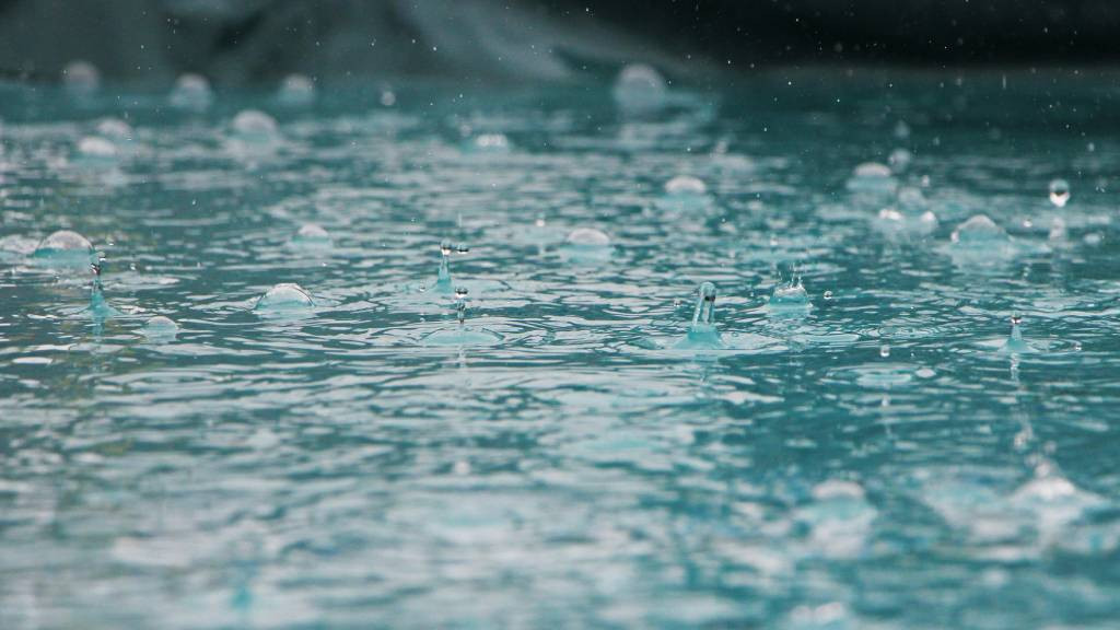 Фото: unsplash.com