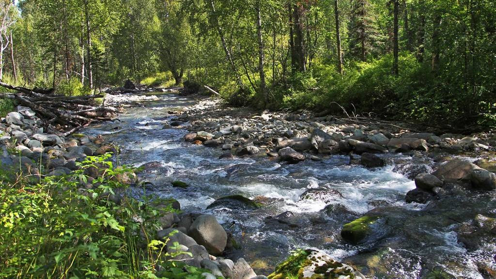 Что за туристический налог появится на Алтае Фото №1