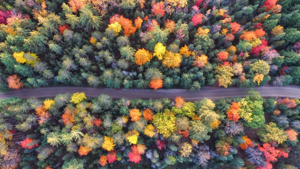 Фото: unsplash.com