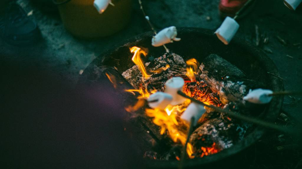 Фото: unsplash.com