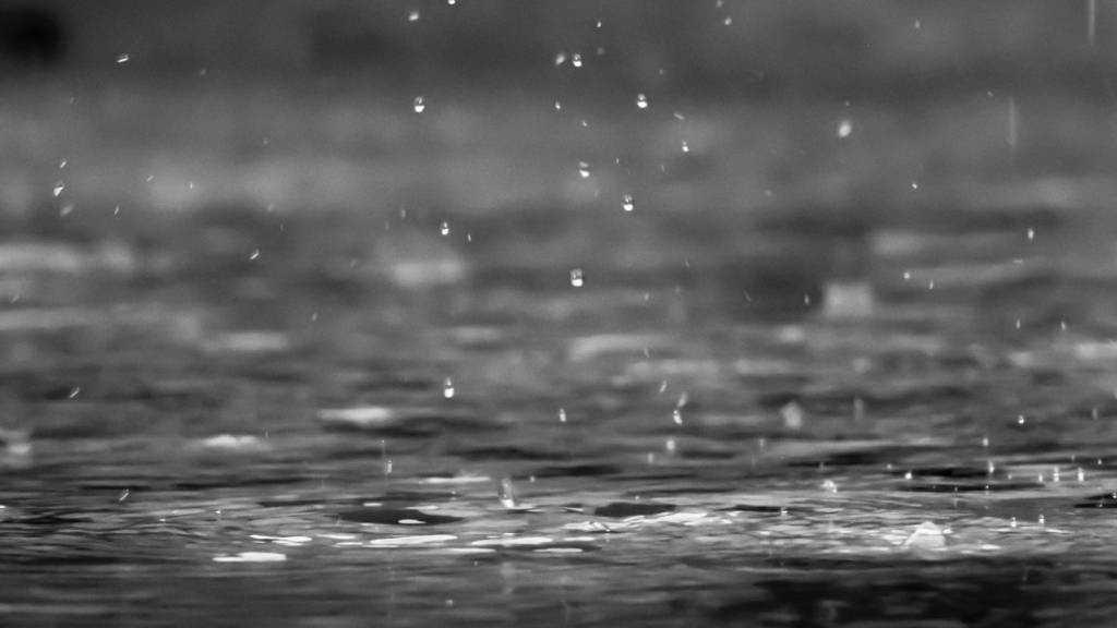 Фото: unsplash.com