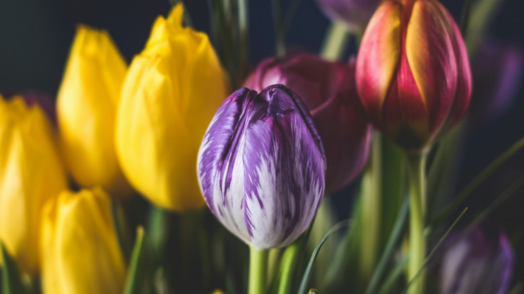 Фото: unsplash.com