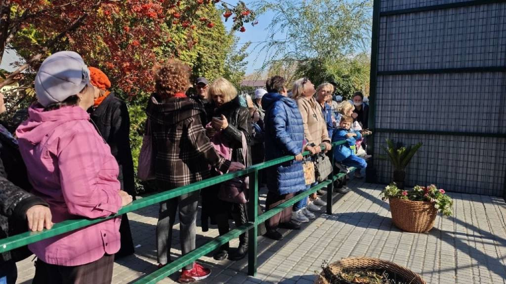 Фото: Сергей Писарев