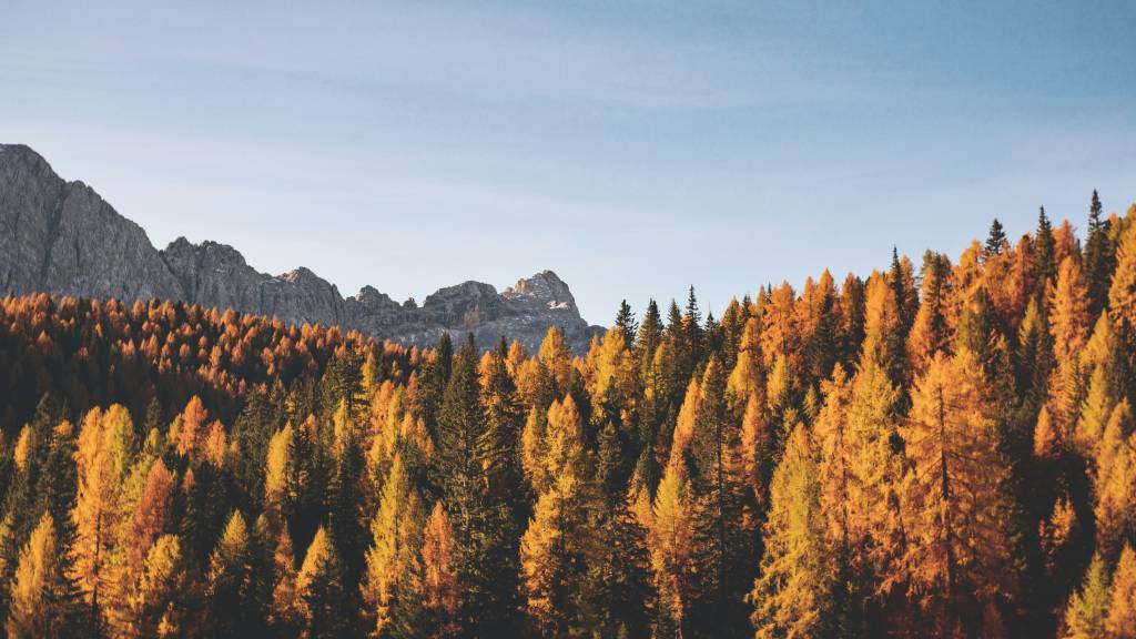 Фото: unsplash.com