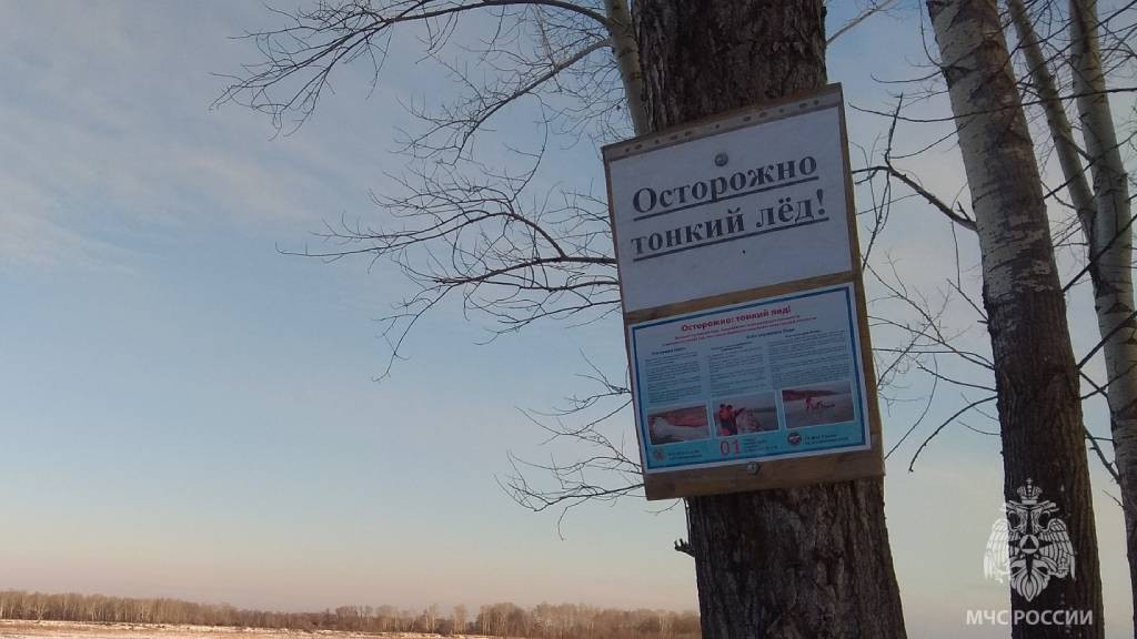 Фото: ГУ МЧС России по Алтайскому краю