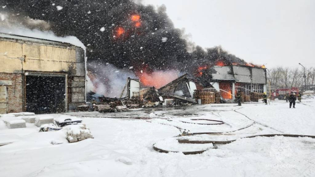 Фото: ГУ МЧС России по Алтайскому краю