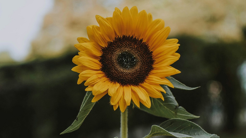 Фото: unsplash.com