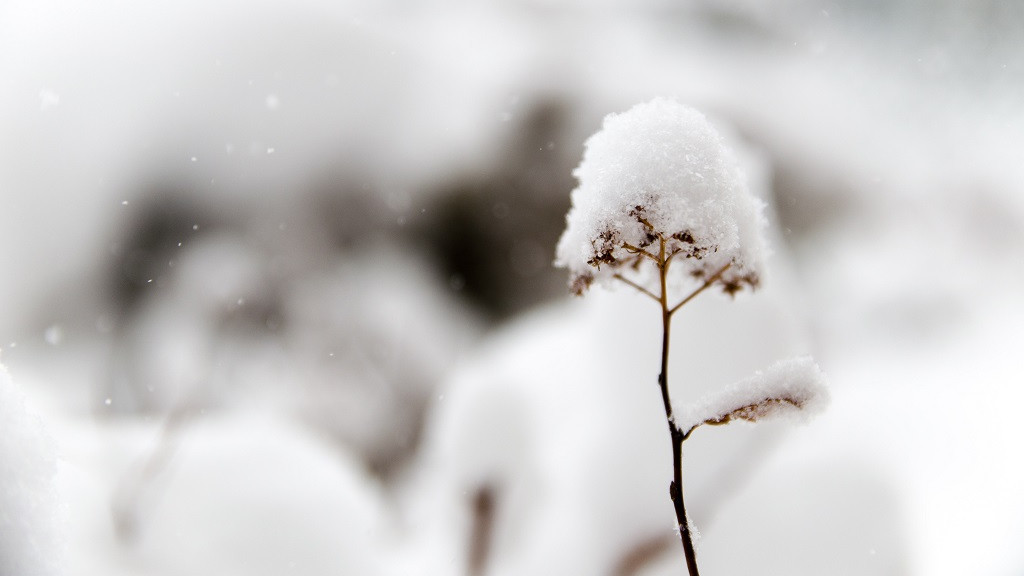 Фото: unsplash.com