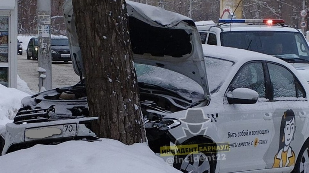 В Барнауле автомобиль такси влетел в дерево Фото №1