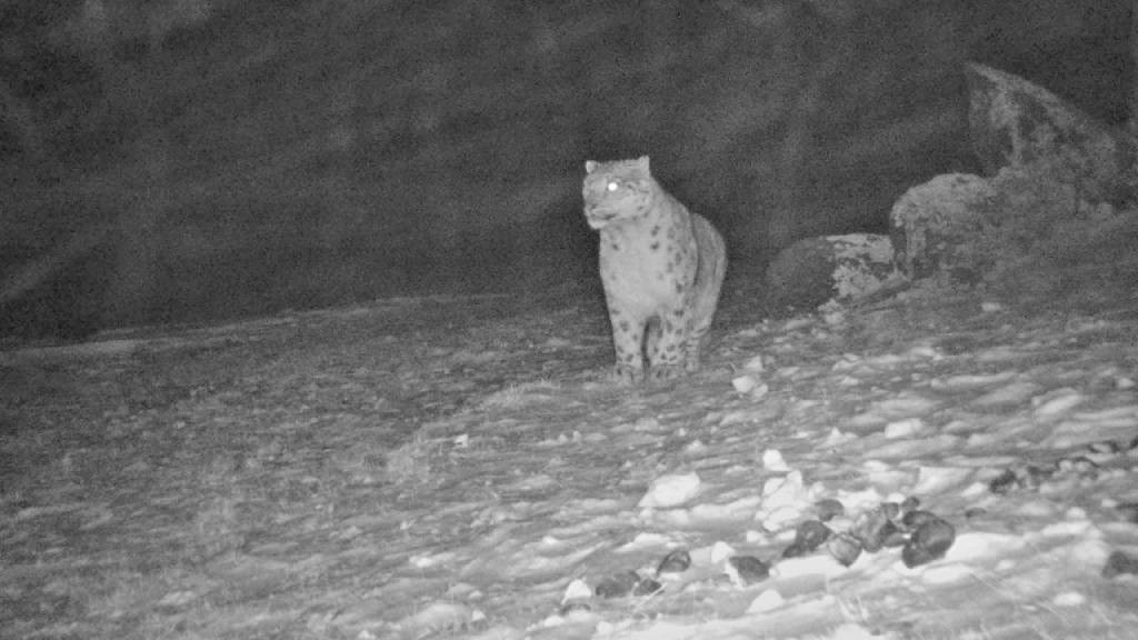 Фото: Сайлюгемский нацпарк