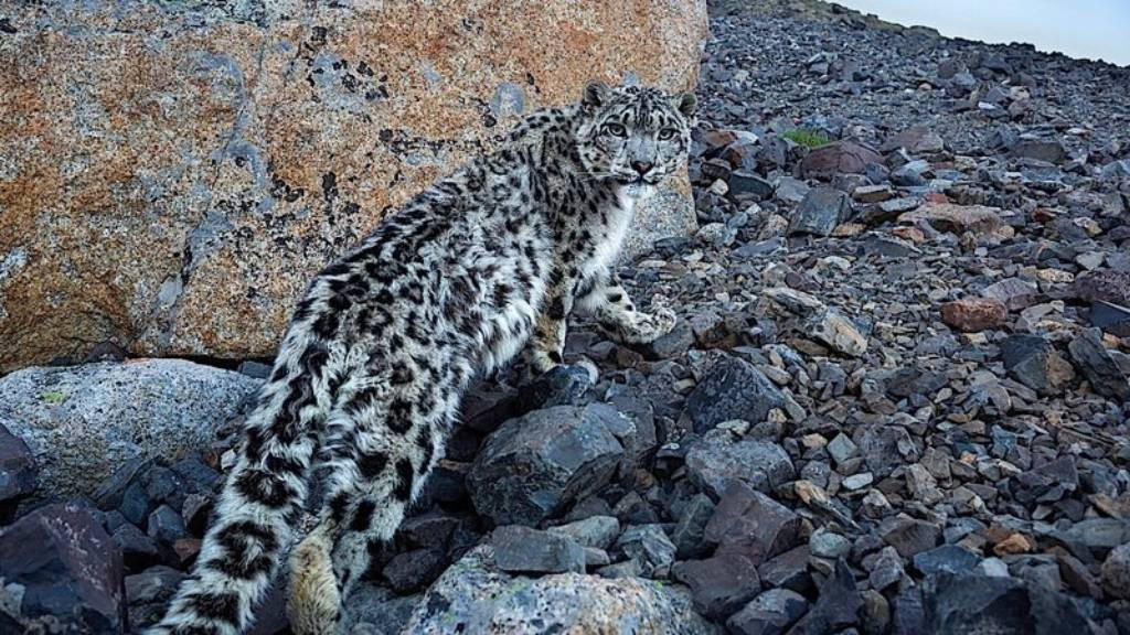 Фото: Сайлюгемский национальный парк
