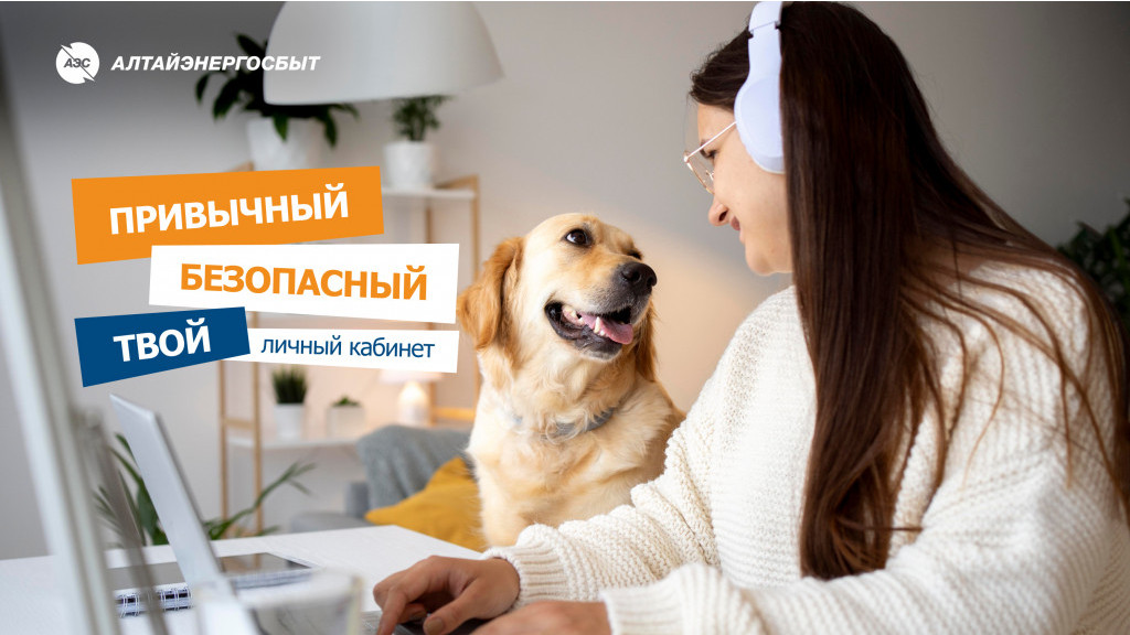 «Алтайэнергосбыт»: показания счётчиков и оплата в пару кликов Фото №1