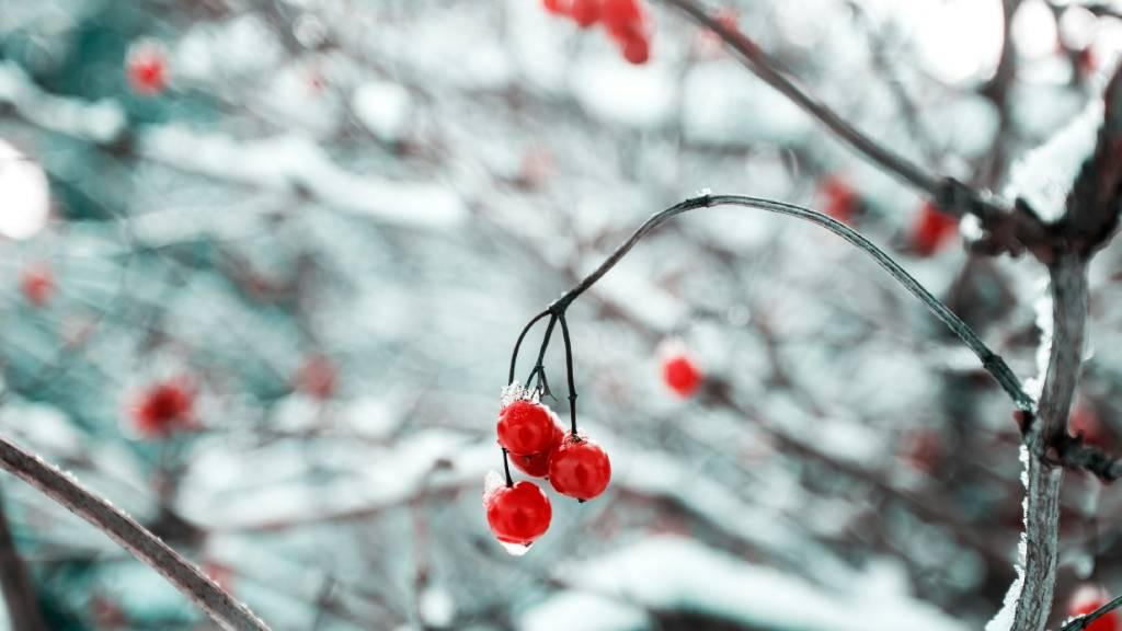 Фото: unsplash.com