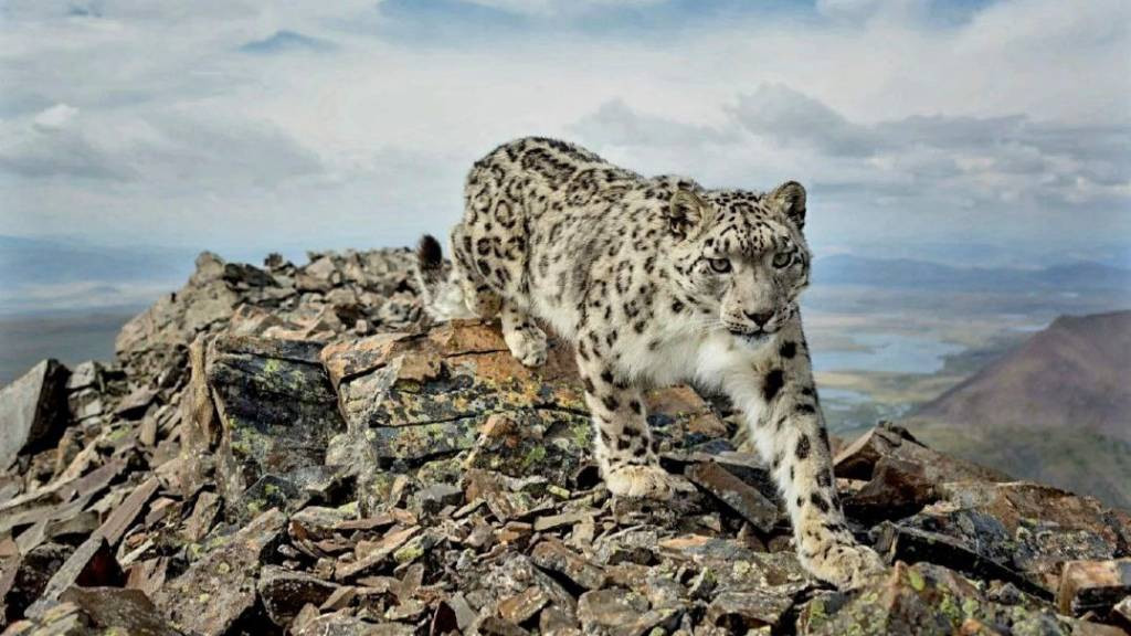 Фото: Сайлюгемский нацпарк