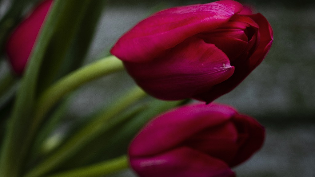 Фото: ru.freepik.com