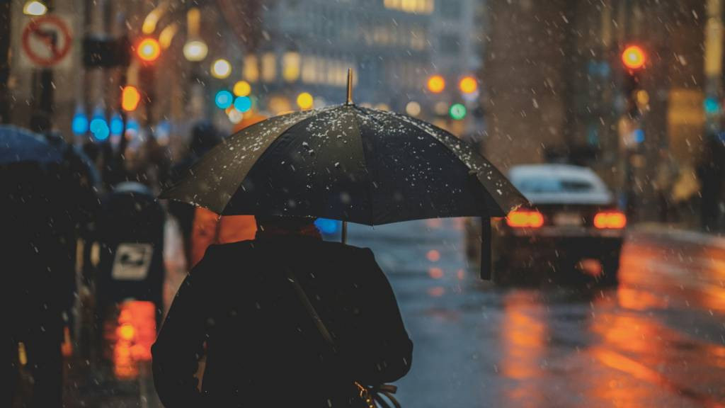 Фото: unsplash.com