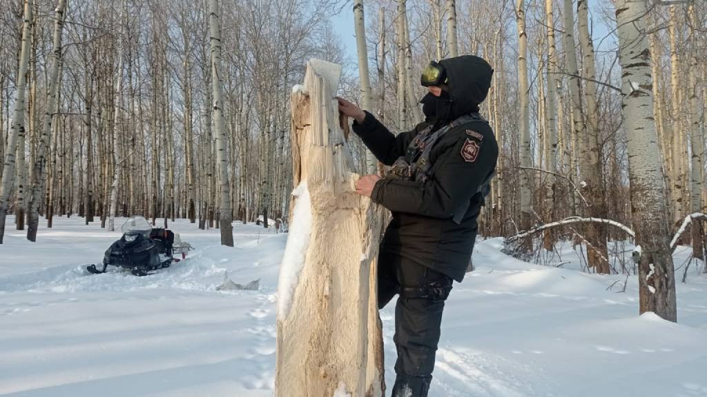 Фото: Национальный парк «Салаир»
