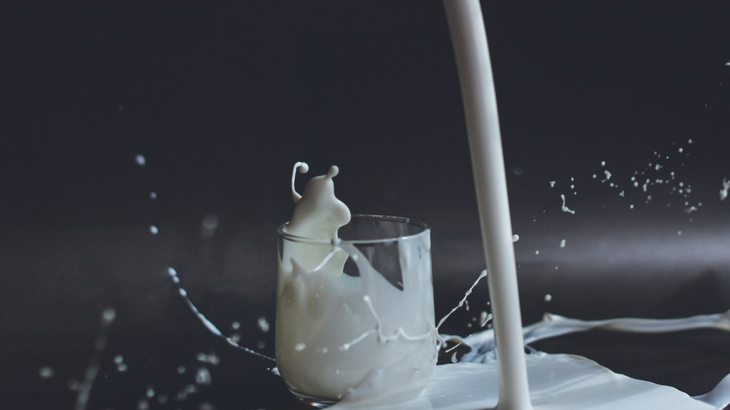 Фото: unsplash.com