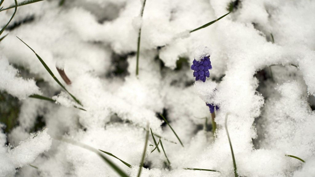 Фото: unsplash.com