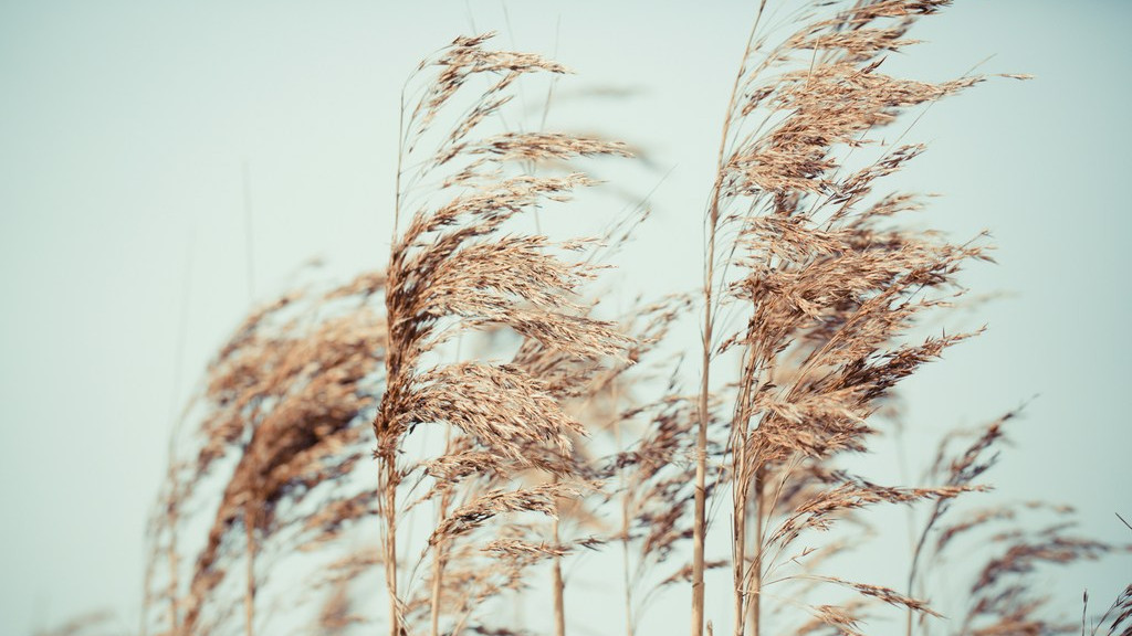 Фото: unsplash.com