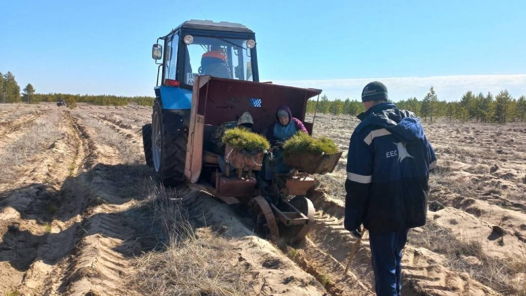 Фото: Минприроды Алтайского края