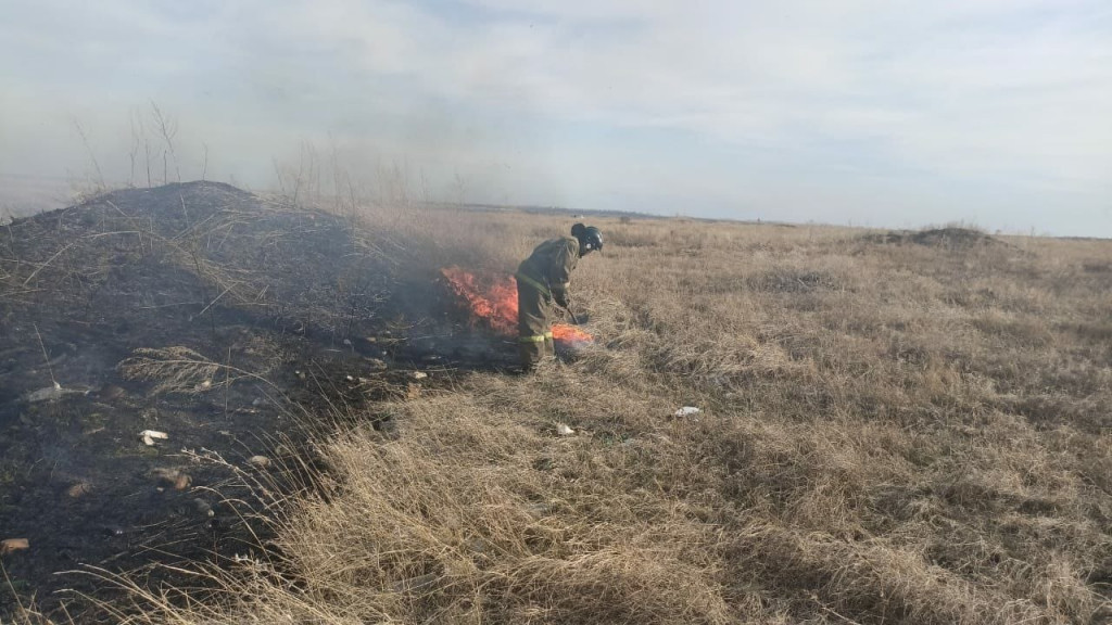 В Алтайском крае ликвидировано 76 пожаров, в том числе 61 возгорание травы Фото №1