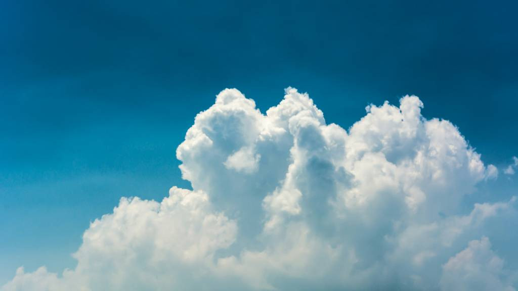 Фото: unsplash.com