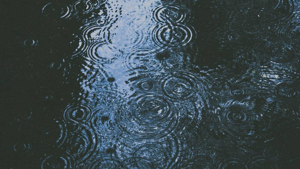 Фото: unsplash.com