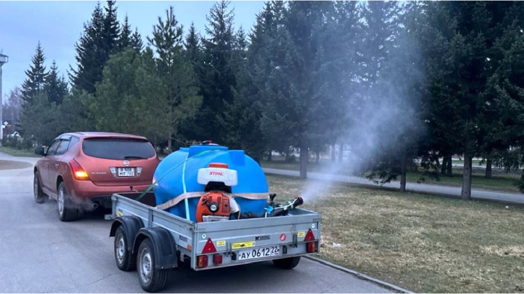 Фото: мэрия Барнаула