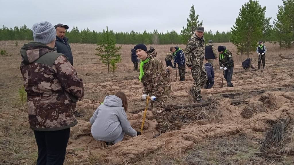 Фото: Минприроды Алтайского края
