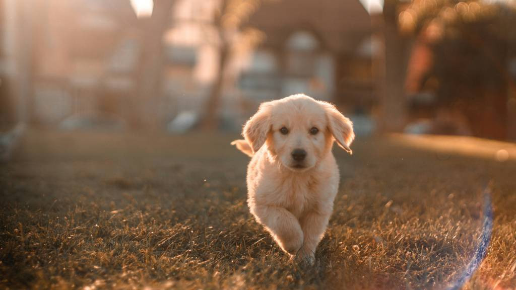 Фото: unsplash.com