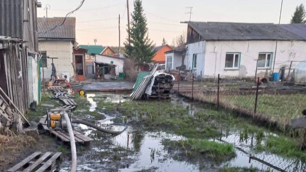 Фото: мэрия Барнаула