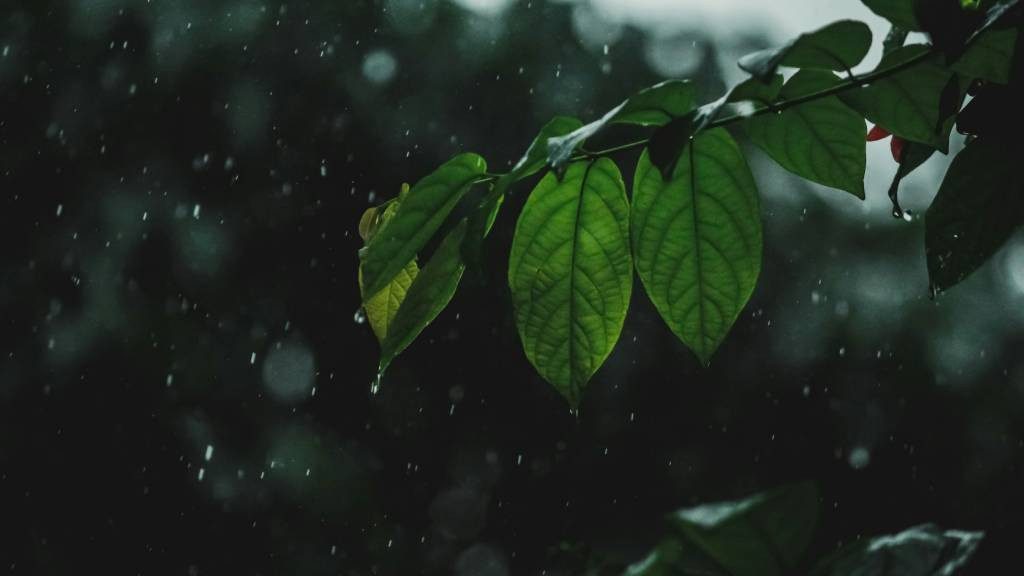 Фото: unsplash.com