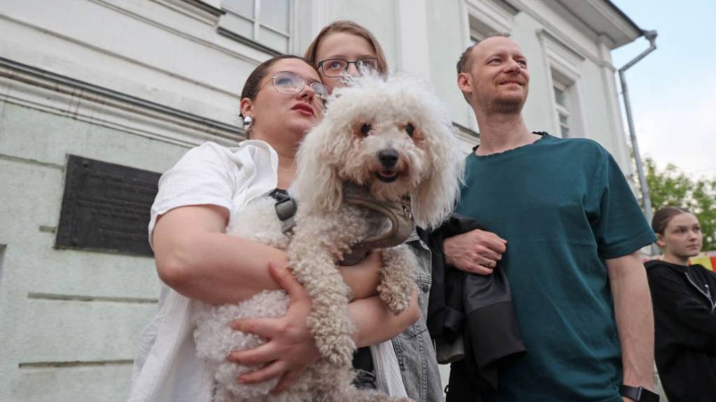 Барнаульцам напомнили о вакцинации питомцев после громкого инцидента Фото №1