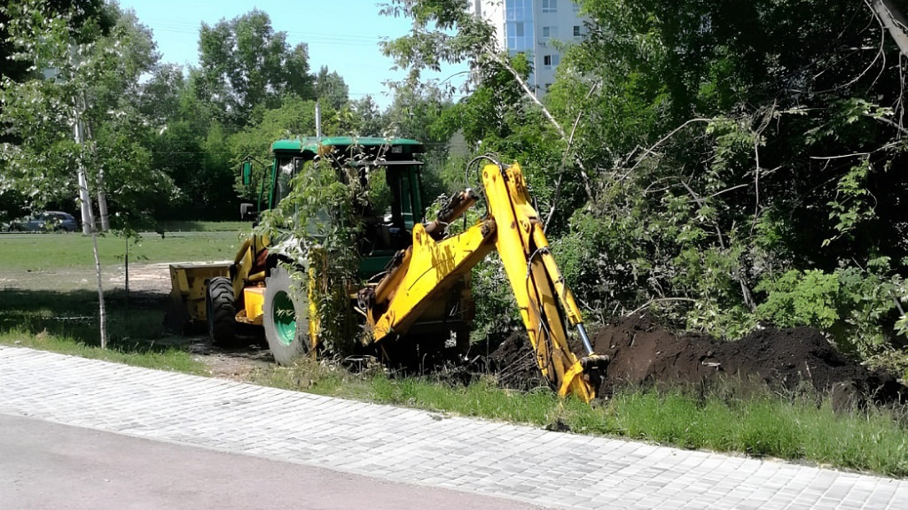 Фото: администрация Барнаула