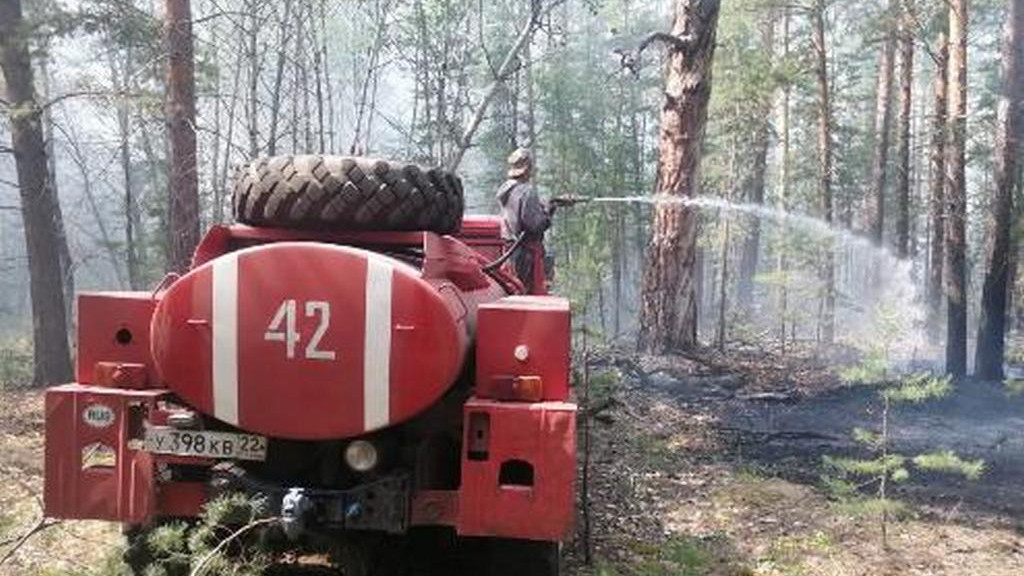 Фото: Минприроды АК