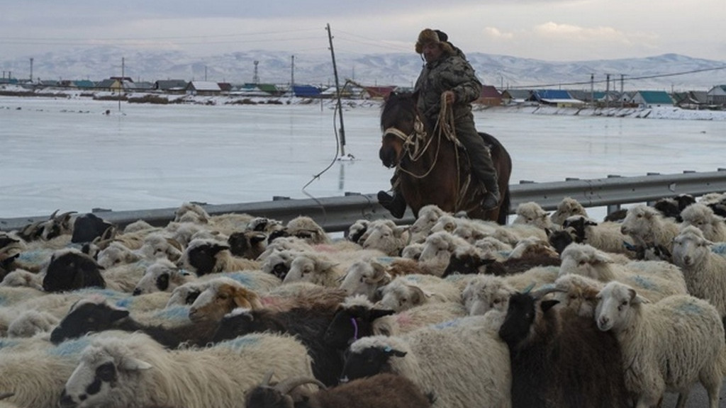 Фото: Сайлюгемский нацпарк