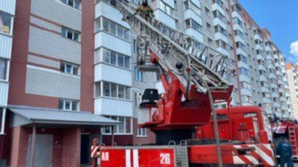 Фото: ГУ МЧС РФ по Алтайскому краю