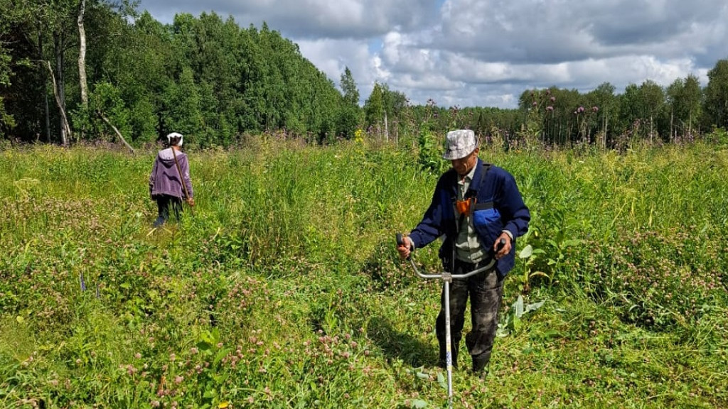 Фото: Министерство природных ресурсов и экологии Алтайского края