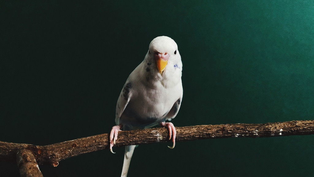 Фото: unsplash.com
