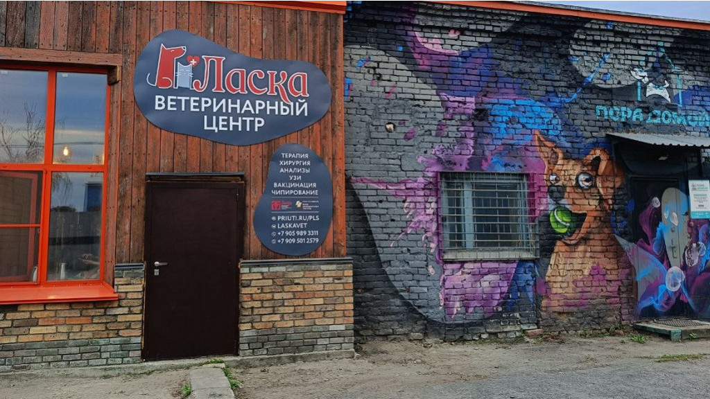 Фото: приют «Ласка»