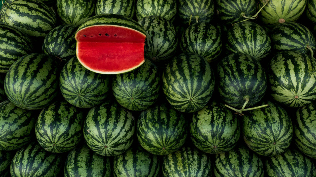 Фото: unsplash.com