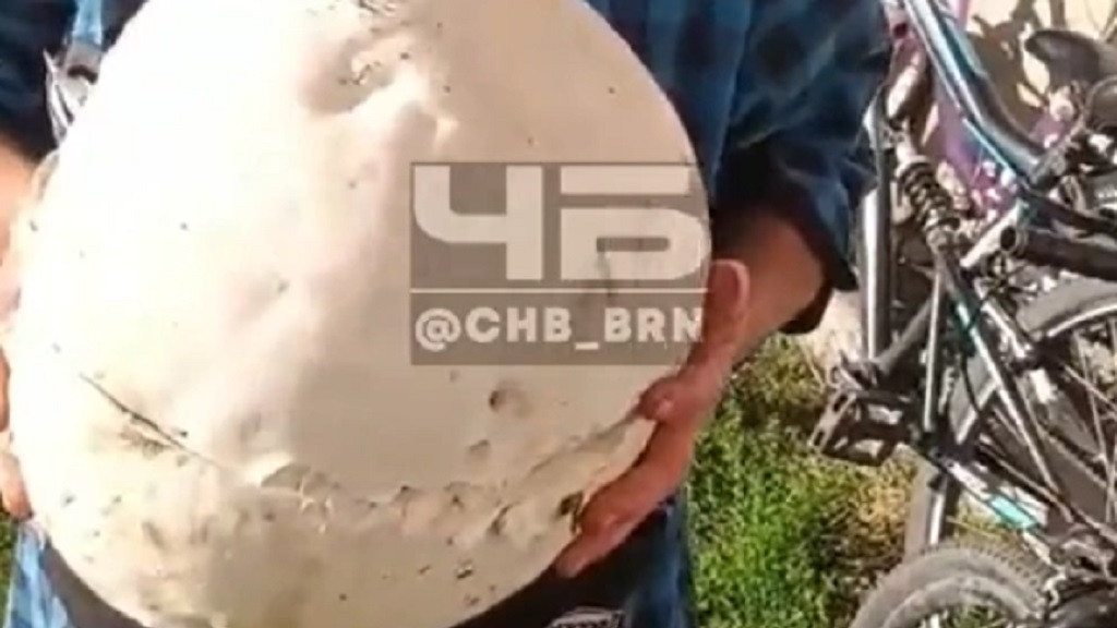 Фото: скрин видео