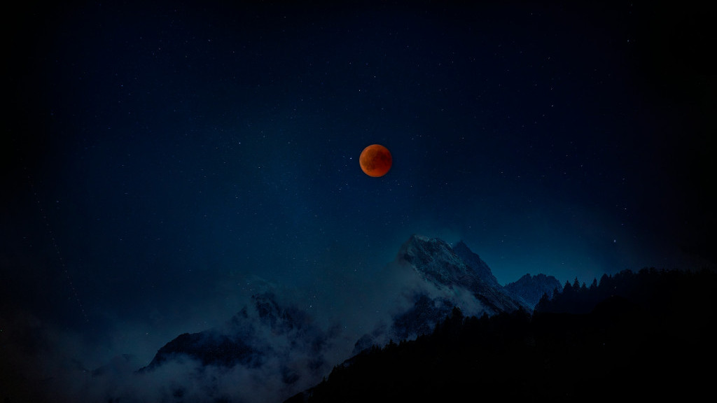 Фото: unsplash.com