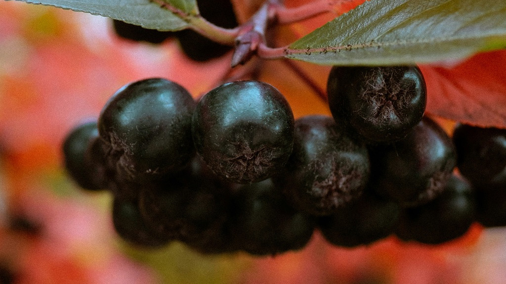 Фото: unsplash. com