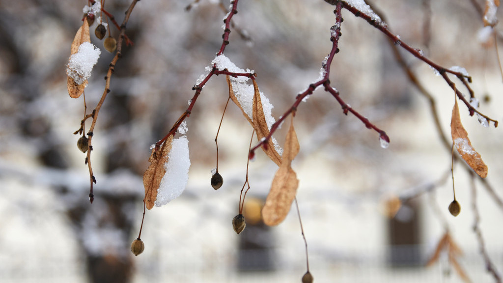 Фото: ru.freepik.com