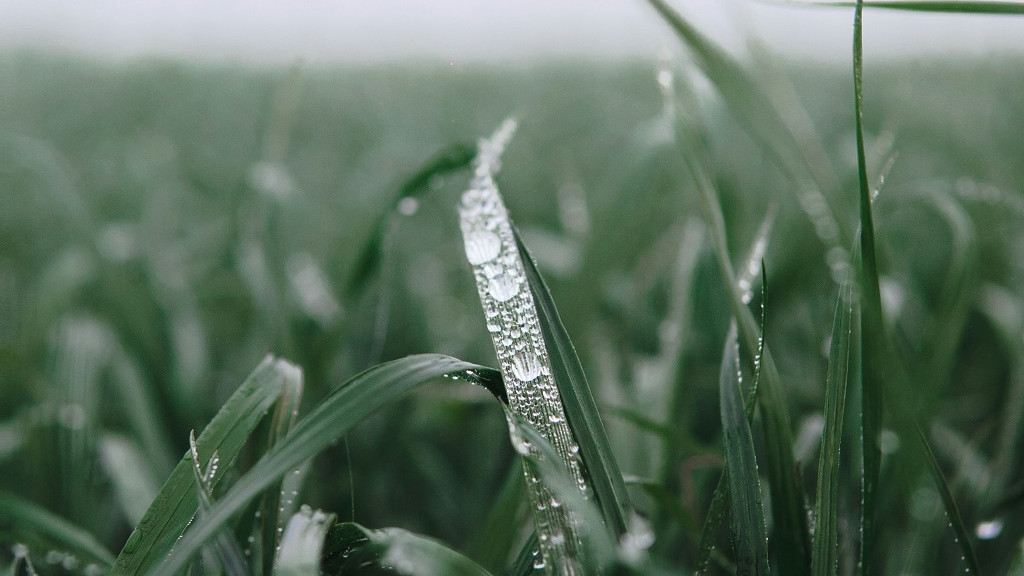 Фото: unsplash.com