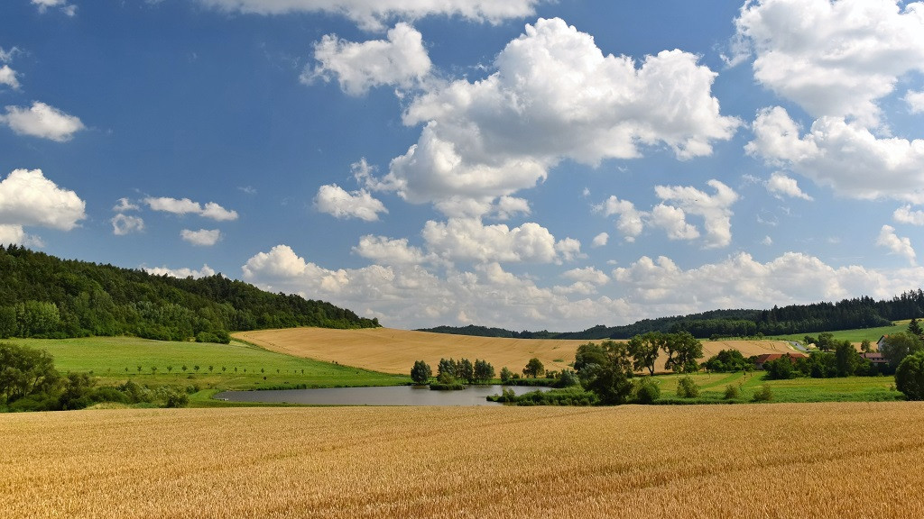 Фото: ru.freepik.com