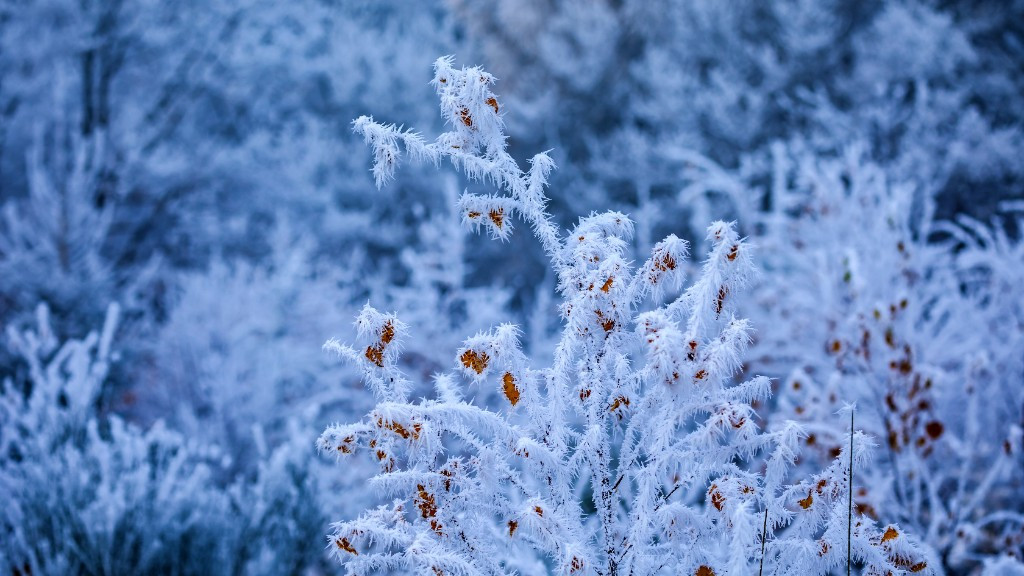Фото: Freepik