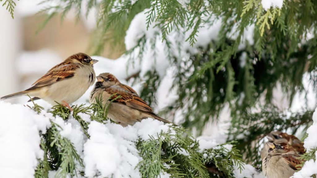 Фото: ru.freepik.com